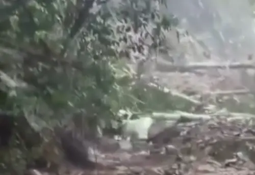 隨著第一顆大樹應聲倒地,土石流開始緩緩朝下坡處流動。(圖/爆料公社) ▲隨著第一顆大樹應聲倒地,土石流開始緩緩朝下坡處流動。(圖/爆料公社)