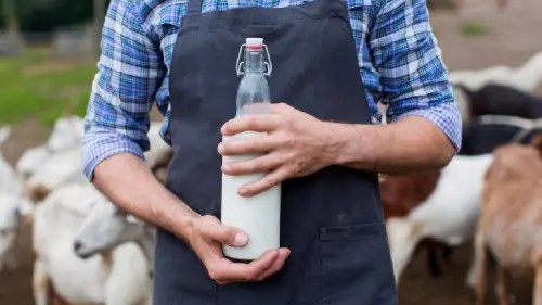 ▲雖然羊奶單價較高,但對於過敏體質的人來說,可以說是最佳乳飲品。(示意圖/Freepik) ▲雖然羊奶單價較高,但對於過敏體質的人來說,可以說是最佳乳飲品。(示意圖/Freepik)
