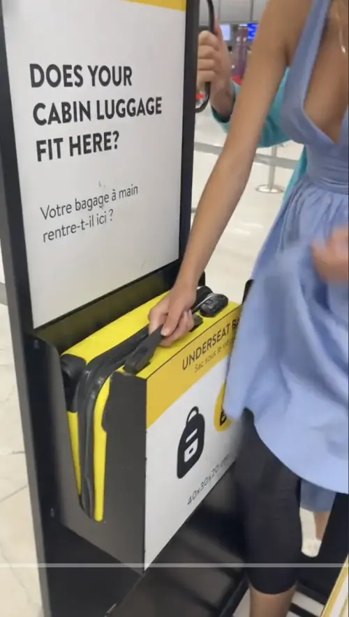 ▲（圖／翻攝自TikTok）