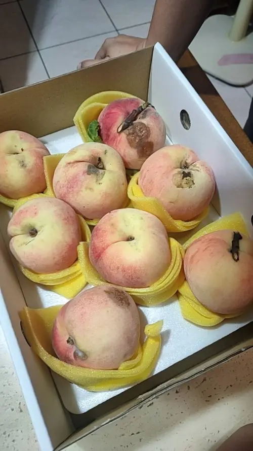▲民眾回家開箱才發現盒中水蜜桃外皮都已經呈現淺咖啡色。（圖／爆怨2公社）