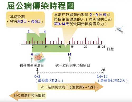 ▲屈公病傳染時程。（圖／疾病管制署）