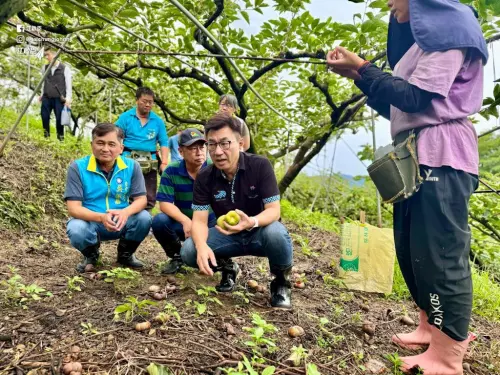 江啟臣勘災不捨蔬果泡湯！要求農政單位全品項救助
