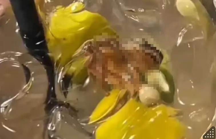 ▲馬來西亞一名女子在餐廳點青檸酸梅冰時，喝到一半才發現裡面有死青蛙。（圖／翻攝自星洲網）