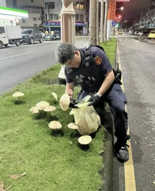 ▲由於人群聚集分隔島拍照違規，高雄警接獲多次通報，為維持交通秩序，主動讓警員將香菇拔除，維護交通安全。（圖／翻攝畫面）