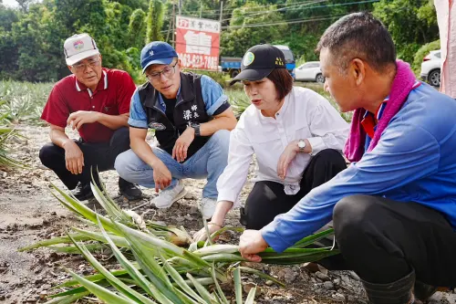 豪雨重創屏東農損破億元　周春米籲中央啟動救助
