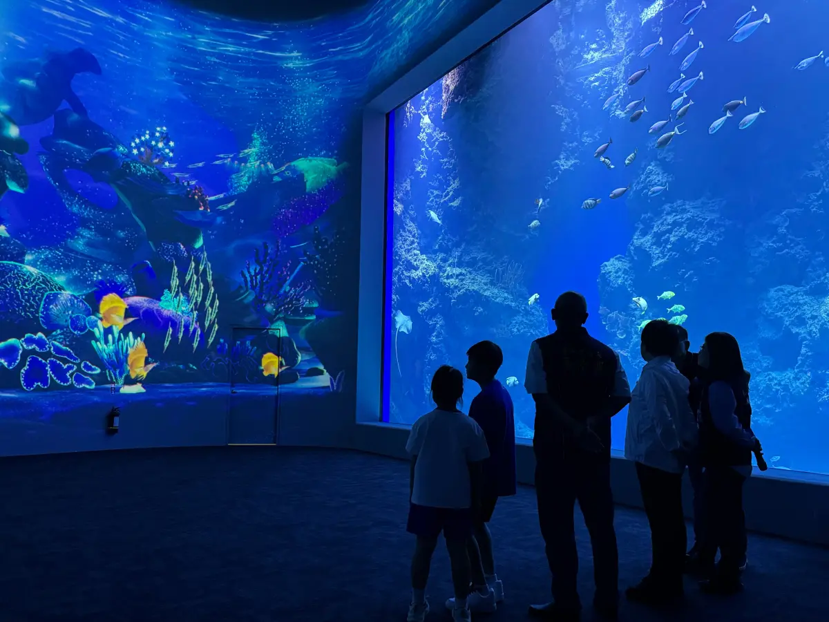 ▲「台中海洋館」預計將於8月21日正式開幕。門票被民眾批評竟然比「沖繩海生館、桃園Xpark水族館」都來得貴，業者喊話說是全台最先進海洋館，市府也提出兩點是全台唯一。（圖／台中市政府提供）