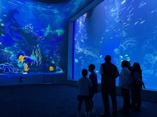 台中海洋館門票太貴？業者喊「台灣最先進」　市府：2點全台唯一
