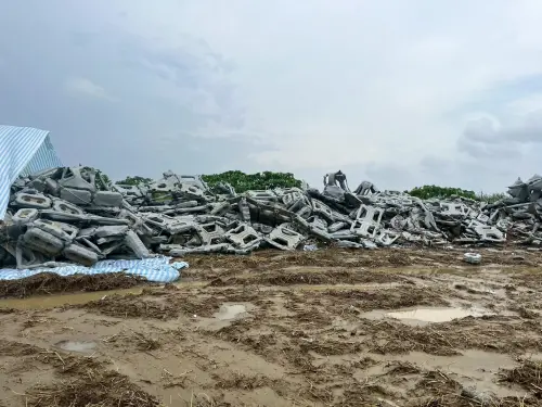 丹娜絲風災14.5萬片光電板受損　銀行融資優惠加速恢復運作
