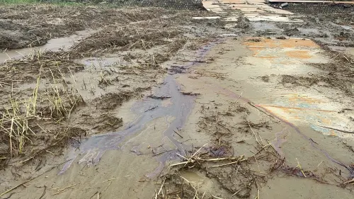 ▲農民拍下廢棄光電板堆置的台糖農地現場，有可疑油漬。（圖／民眾黨團提供，2025.08.06）