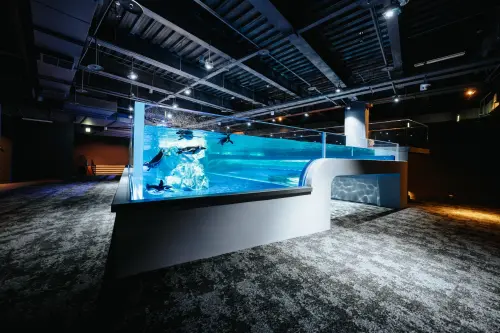 台中海洋館,台中海生館,台中水族館,台中海洋館門票 ▲台中海洋館最大特色為全台唯一全開放式設計,2樓企鵝展示區突破傳統封閉式觀賞模式,民眾能近距離欣賞。(圖/翻攝自台中海洋館官網)
