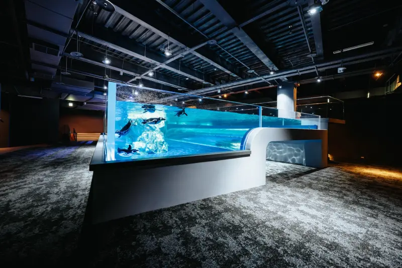 ▲台中海洋館昨日開幕，最大特色為全台唯一全開放式設計，像是企鵝展示區。但是營業第二天就傳出許多民眾批評裡頭餐廳價格太高。（圖／翻攝自台中海洋館官網）