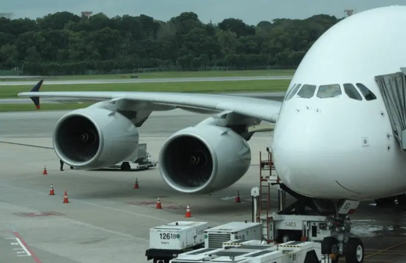 ▲新加坡計畫進一步強化邊境管理，阻止高風險乘客搭機或搭船。（圖／取自Pixabay）