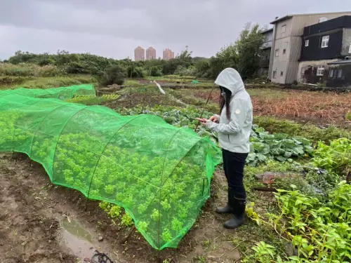 ▲調查員冒雨巡視農田作物生長情形，平時積極掌握農作分布狀況，為農情調查提供第一手資料。