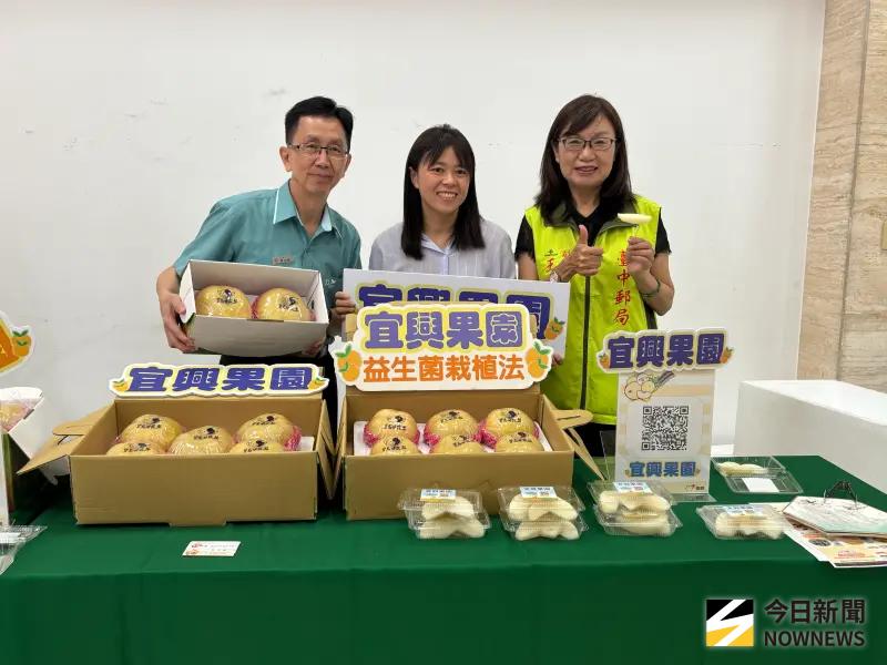 ▲「情滿人間-愛無距『梨』」活動，即日起至10月15日，透過「i郵購」網購平臺訂購及郵局快捷服務，將最新鮮的水梨配送到全臺消費者手上。（圖／記者金武鳳攝，2025.8.6)