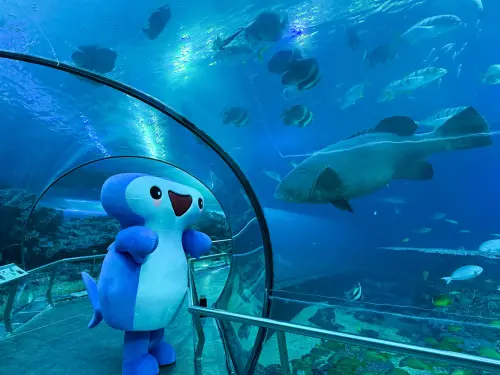 ▲屏東海生館是台灣最大的水族館，海底隧道長84公尺，暑假會在此舉辦「夜宿海生館」活動，十分受大小朋友青睞。（圖／屏東國立海洋生物博物館臉書）