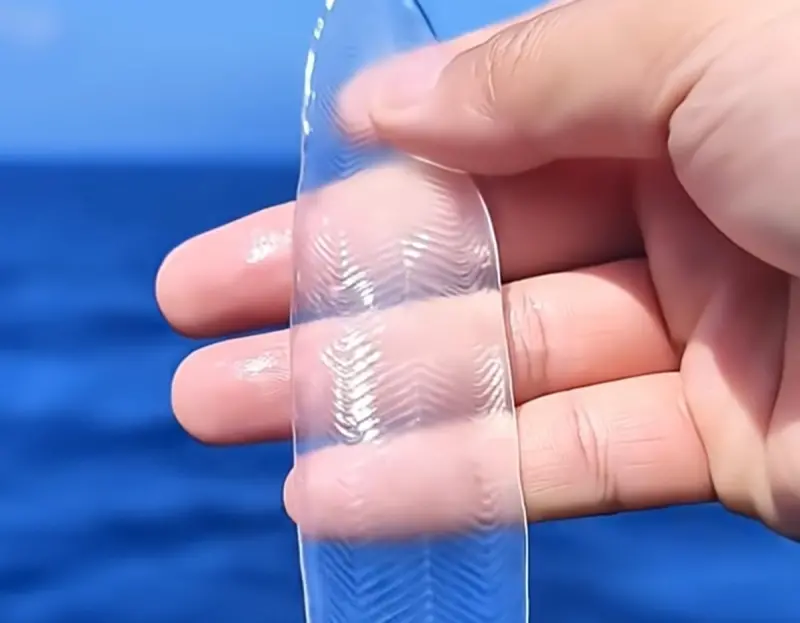 ▲中國海南省有海洋科學考察團隊出海時，意外捕捉到如同「透明塑膠片」的神秘物種，隨即引發萬人討論，甚至有人戲稱是「海中寬粉」。（圖／翻攝微博）