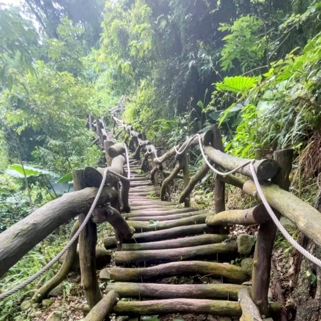 ▲台中大坑風景區3-1號步道開放通行(圖／觀旅局提供2025.8.8)