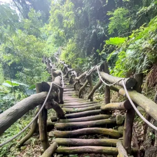 大坑山林再出發　6條步道8/9起解封
