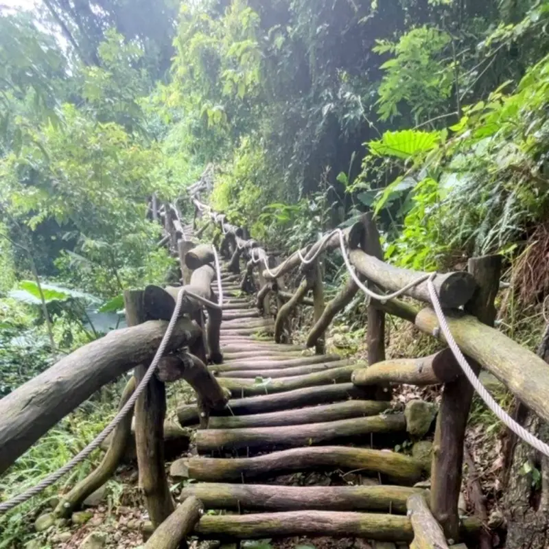 ▲台中大坑風景區3-1號步道開放通行(圖／觀旅局提供2025.8.8)