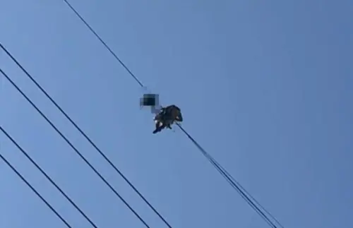 離奇！高雄泰籍移工失蹤4天　慘死20層樓電塔　最後留1句話6個字
