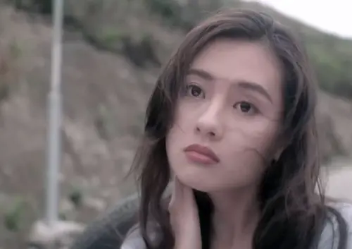 ▲李麗珍轉型拍三級片，雖然意外鬧出打對台的狀況，兩部片票房加起來很突出，讓她轉型的第一步頗為成功。（圖／摘自IMDb）