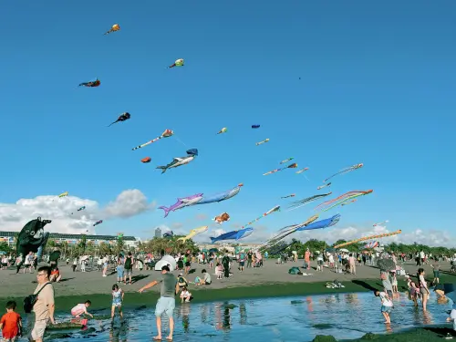 ▲「2025旗津風箏節暨氣墊水樂園」將於今（9）日起登場，現場展出30公尺以上的巨型風箏，並預計有超過130隻海洋生物造型風箏盤旋天際。（圖／高雄市觀光局提供）