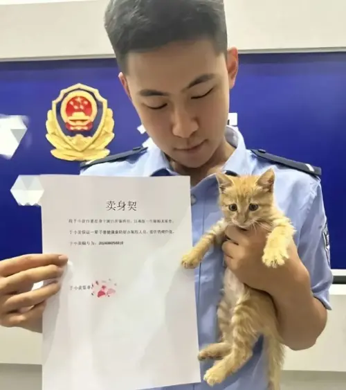 超可愛！流浪貓誤闖派出所簽「賣身契」　變「橘貓警長」萌翻全網

