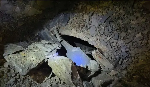 阿里山眠月線2號隧道崩塌！「這2天」申請自然保留區許可緊急廢止
