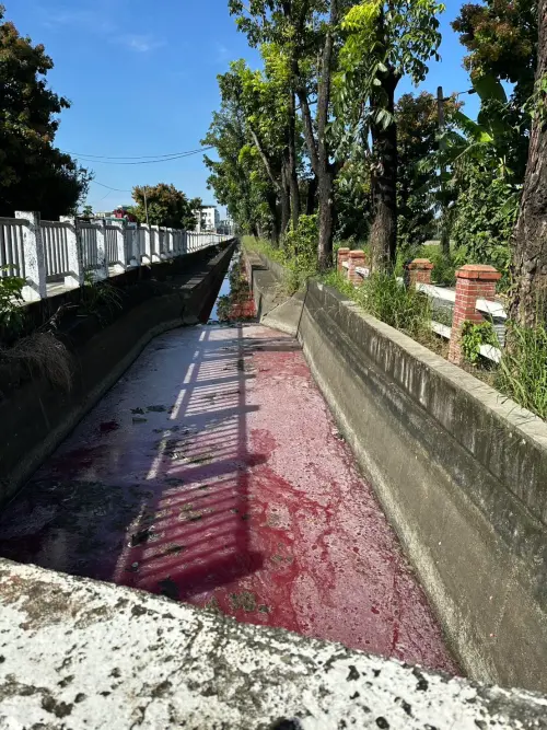 ▲高雄大寮區翁園國小旁的大排，一早驚見「血流成河」（圖／翻攝自高雄市議員 邱于軒臉書粉專）