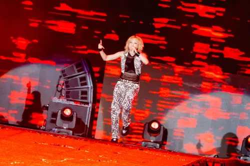 ▲2NE1台中演唱會。（圖／讀者提供）