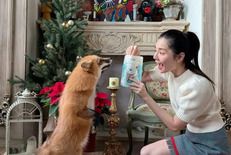 ▲前伊林女模蕭瑋葶謊稱身障關懷協會年收230萬工程師，向銀行詐貸5216萬元買林口兩棟房子，一棟自住、一棟給通緝犯哥哥住，涉嫌窩藏人犯。（圖／翻攝IG）