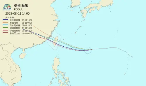 ▲目前各國氣象單位預測路徑，都認為楊柳颱風會在8月13日上午從台灣花東地區登陸。（圖／NCDR）