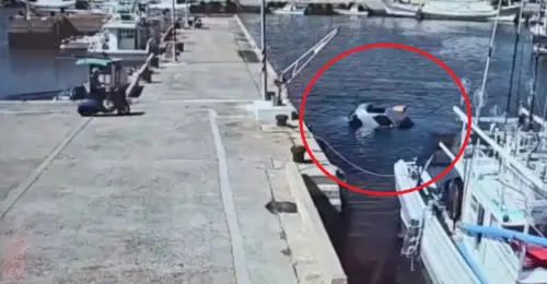 澎湖墜海意外！女漁民加速倒車衝入海中　小貨車驚悚沉沒畫面曝光
