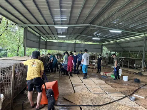 ▲新竹新埔鎮狗園傳疑似虐狗事件，動保所前往勘查。（圖／新竹縣動保所提供）