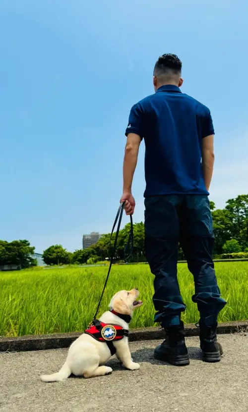 ▲（圖／翻攝自臉書粉專「新北市政府警察局警犬隊」）