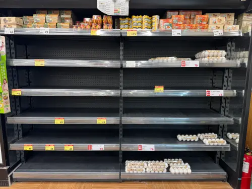 ▲賣場買菜潮，仍有不少民眾搶買蔬菜、雞蛋，並直言「害怕颱風過後蔬菜又漲價」。