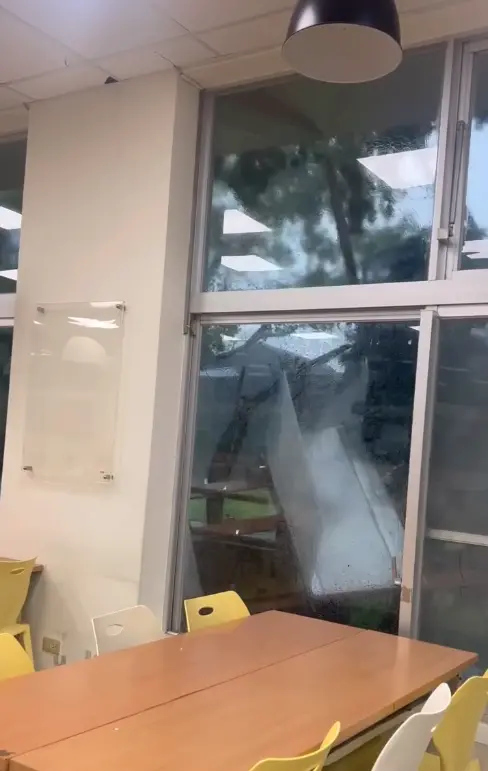 ▲（圖／Threads＠vivi0981授權提供）