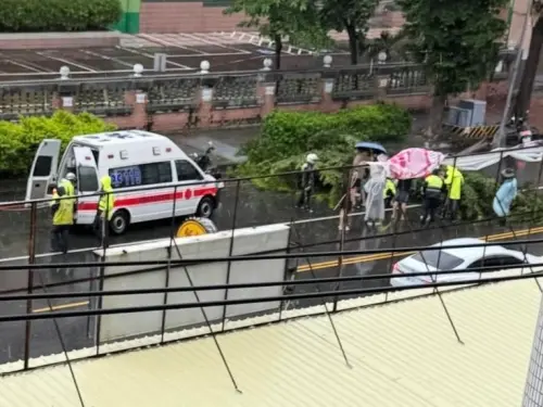 快訊／楊柳颱風釀災！高雄母女騎車遭路樹砸中受傷送醫
