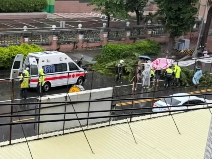 ▲楊柳颱風吹倒路樹，不慎砸中騎車路過的母女。（圖／Threads@pallmallyo1021)