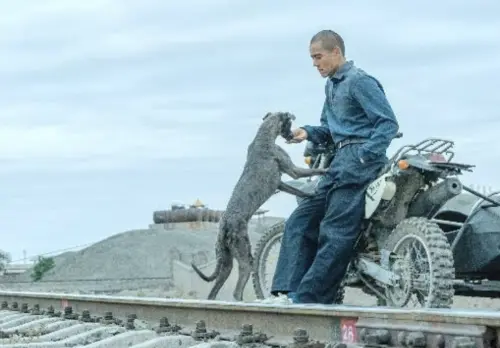 ▲彭于晏（如圖）的《狗陣》在坎城影展得到好評也獲獎，他也把片中的狗明星收編回家。（圖／海鵬提供）