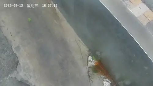 ▲到了12點18分時，小琉球鏡頭君已經在拍攝著地板了，不過訊號還是維持著沒有斷掉。