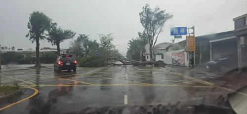 ▲正氣北路上大顆的路樹倒塌，阻斷道路。（圖／台東臉書災害通報）