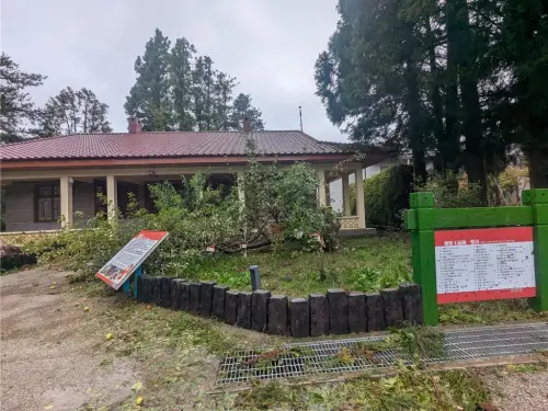 ▲楊柳颱風帶來強風，福壽山農場蘋果王被吹斷。（圖／福壽山農場）