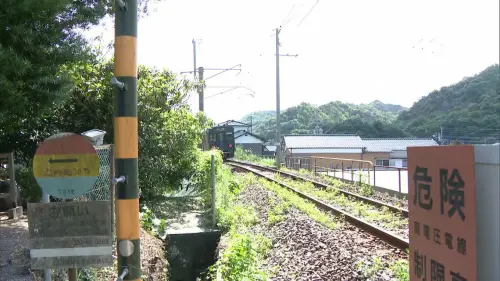 台女闖日本平交道拍照遭車撞！送醫不治「死因曝」　當局啟動調查
