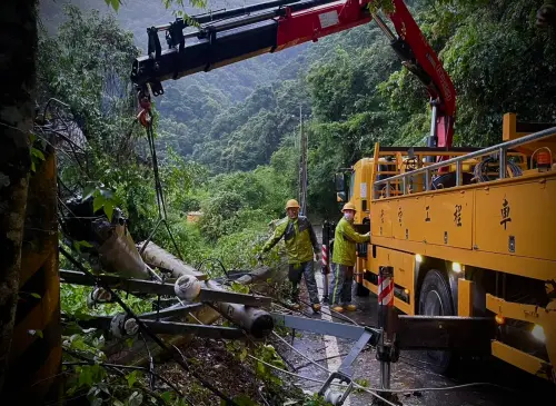 ▲台電南投區處同仁修剪清除倒塌樹木，搶修復電。（圖／今日新聞資料庫）