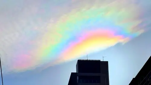 楊柳颱風走遠「天空驚現彩虹雲」！奇蹟美照瘋朝聖　鄭明典揭成因

