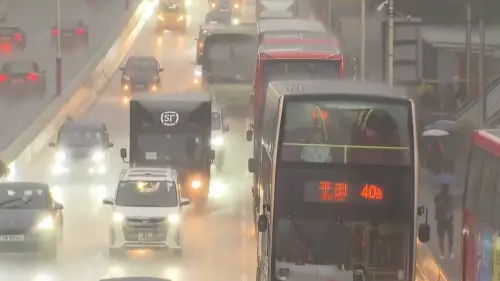 影／楊柳颱風為香港灌入暴雨！黑色警告再現　流浪狗收容機構也淹
