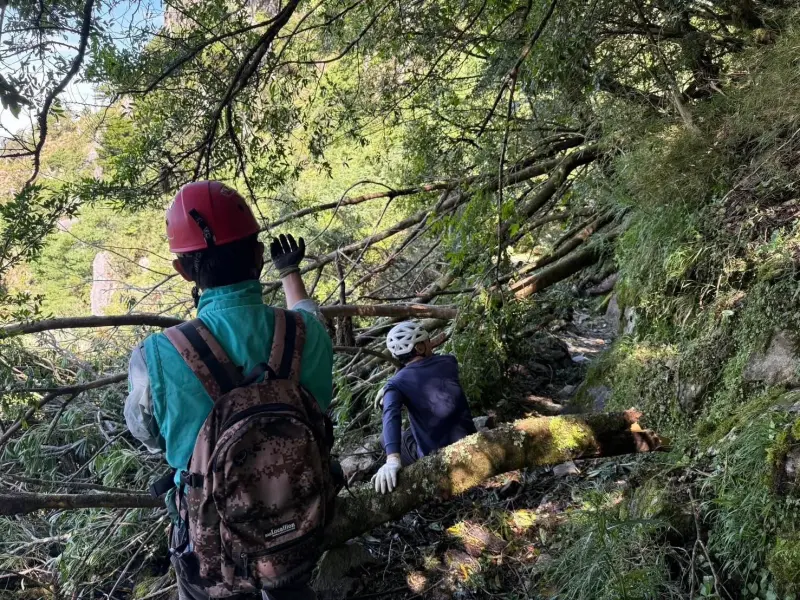 ▲玉山國家公園今（14）日一早，隨即派員執行玉山線步道的災後勘查工作。（圖／玉山國家公園）