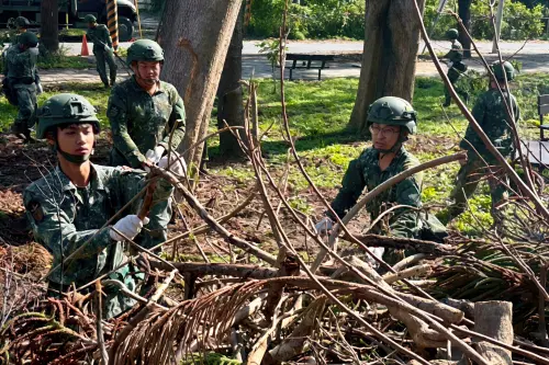 ▲陸軍137旅官兵協助臺南市佳里區樹枝清除。（圖／記者莊全成翻攝）