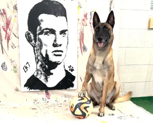 ▲狗畫家Monkey近期最新力作，劃出足球巨星C羅的寫實肖像畫。（圖／IG@omarvonmuller）